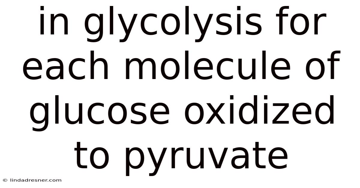 In Glycolysis For Each Molecule Of Glucose Oxidized To Pyruvate