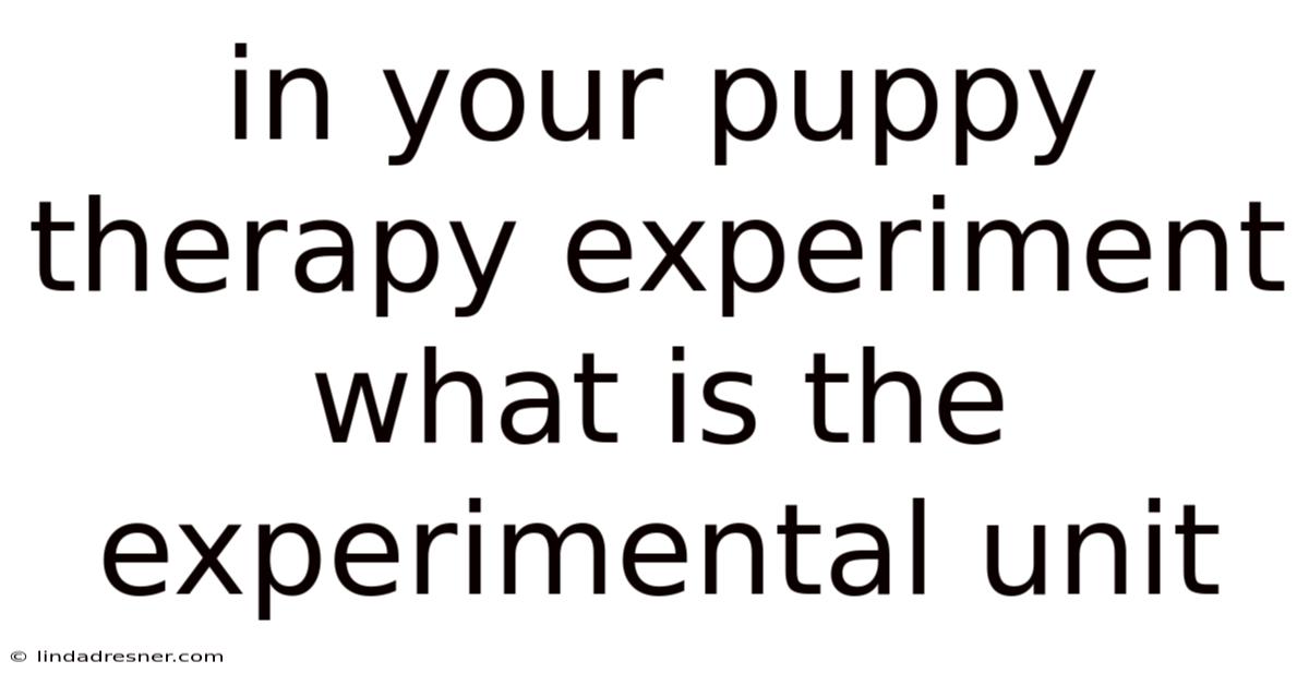 In Your Puppy Therapy Experiment What Is The Experimental Unit