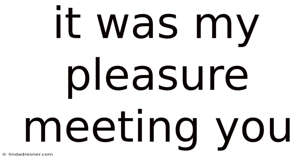 It Was My Pleasure Meeting You