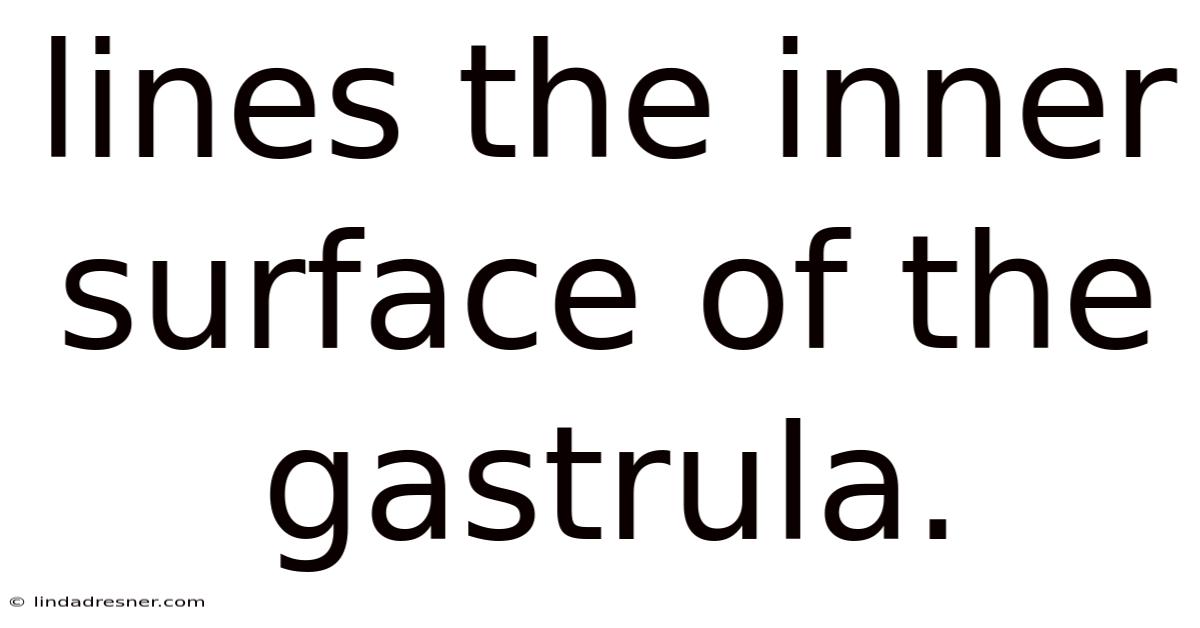 Lines The Inner Surface Of The Gastrula.