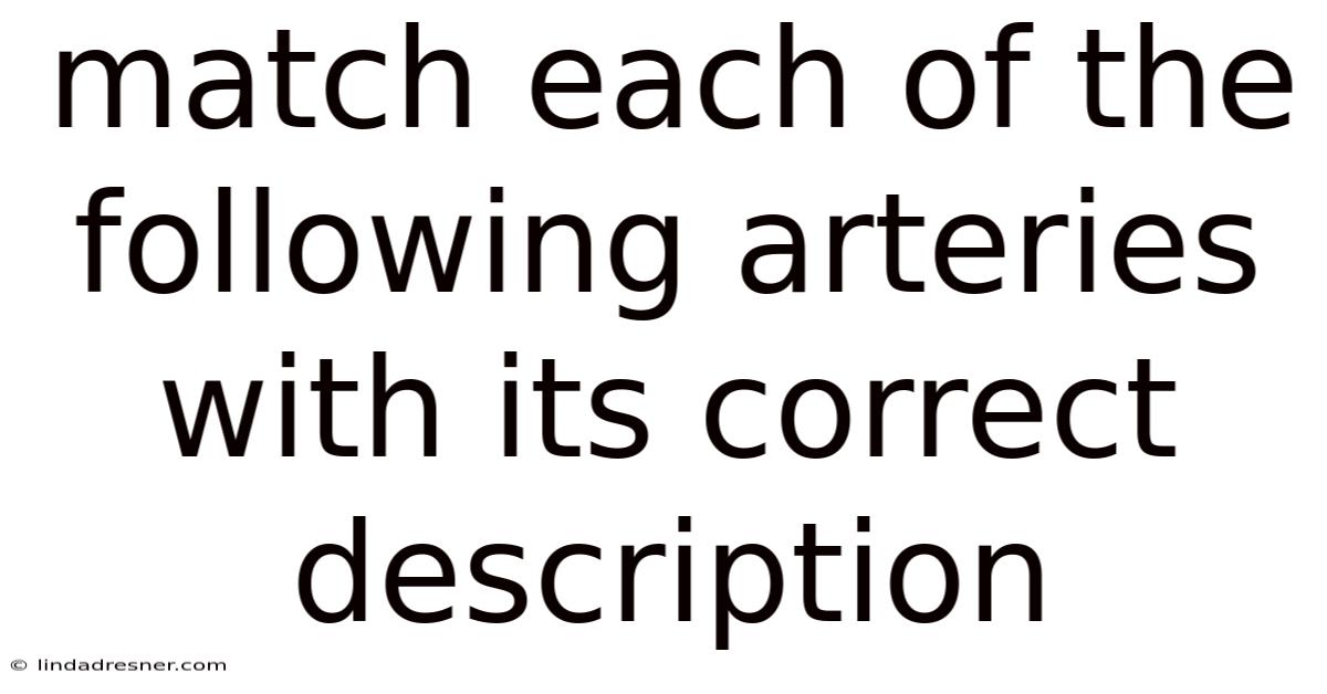 Match Each Of The Following Arteries With Its Correct Description
