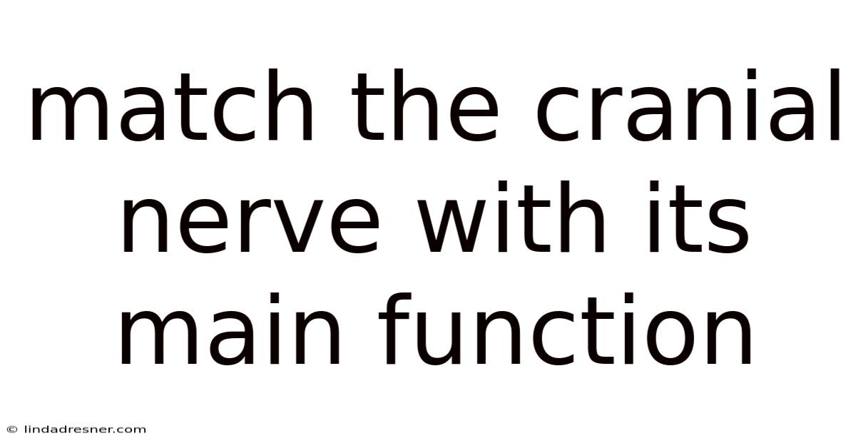 Match The Cranial Nerve With Its Main Function