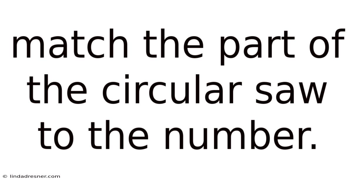 Match The Part Of The Circular Saw To The Number.