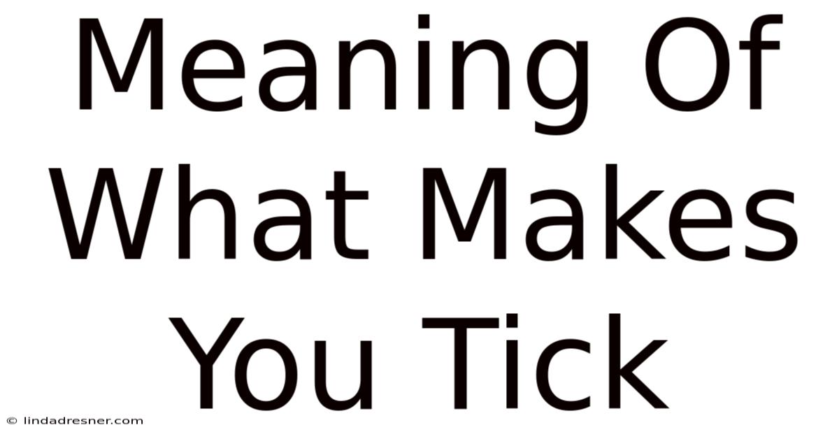 Meaning Of What Makes You Tick