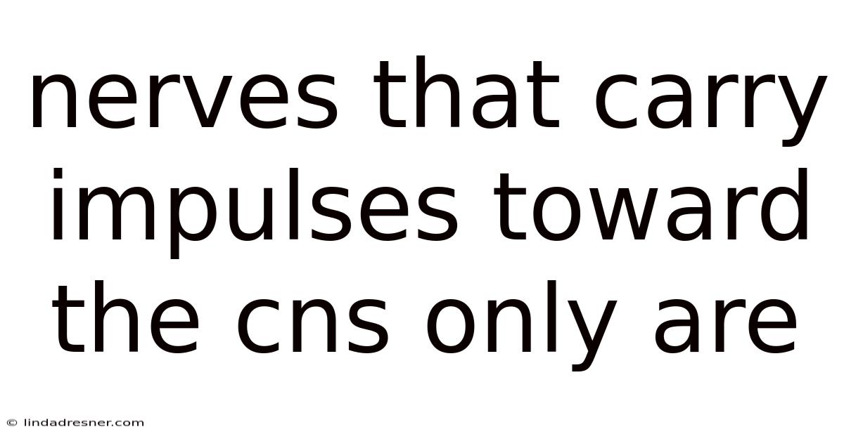 Nerves That Carry Impulses Toward The Cns Only Are