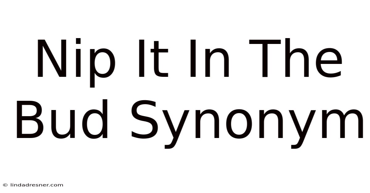 Nip It In The Bud Synonym