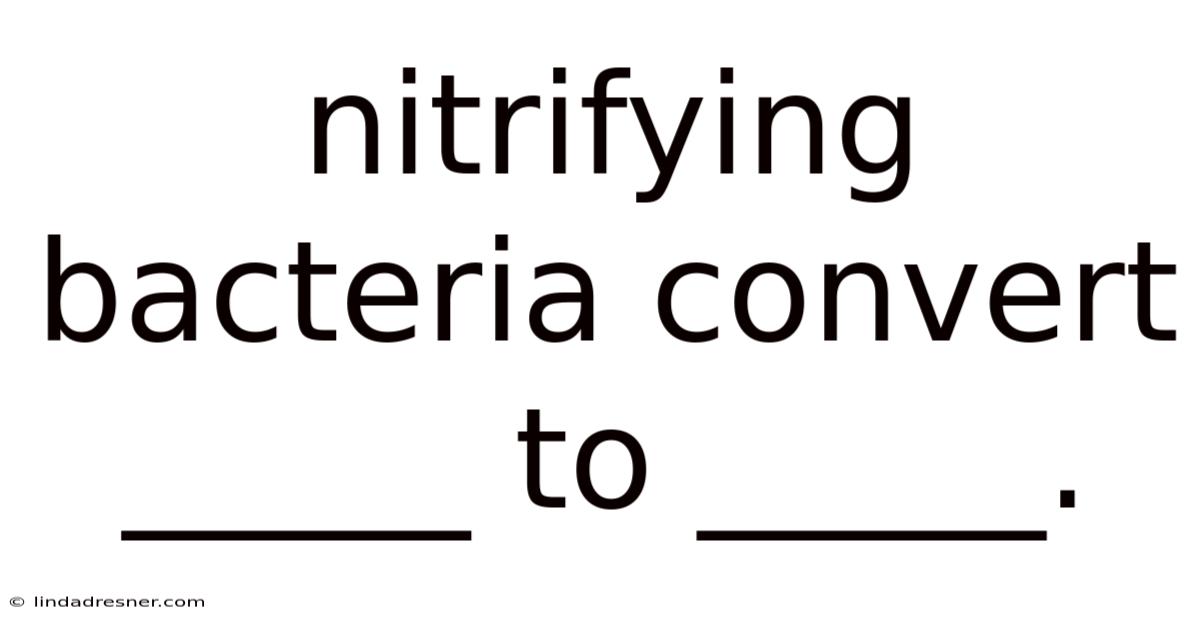 Nitrifying Bacteria Convert _____ To _____.