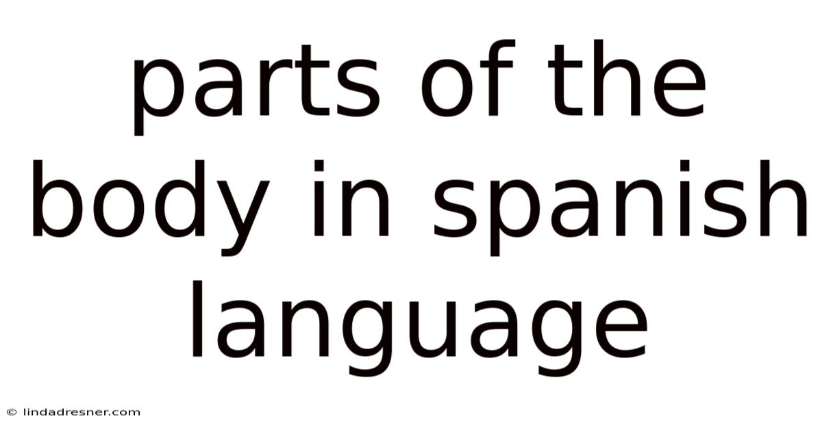 Parts Of The Body In Spanish Language