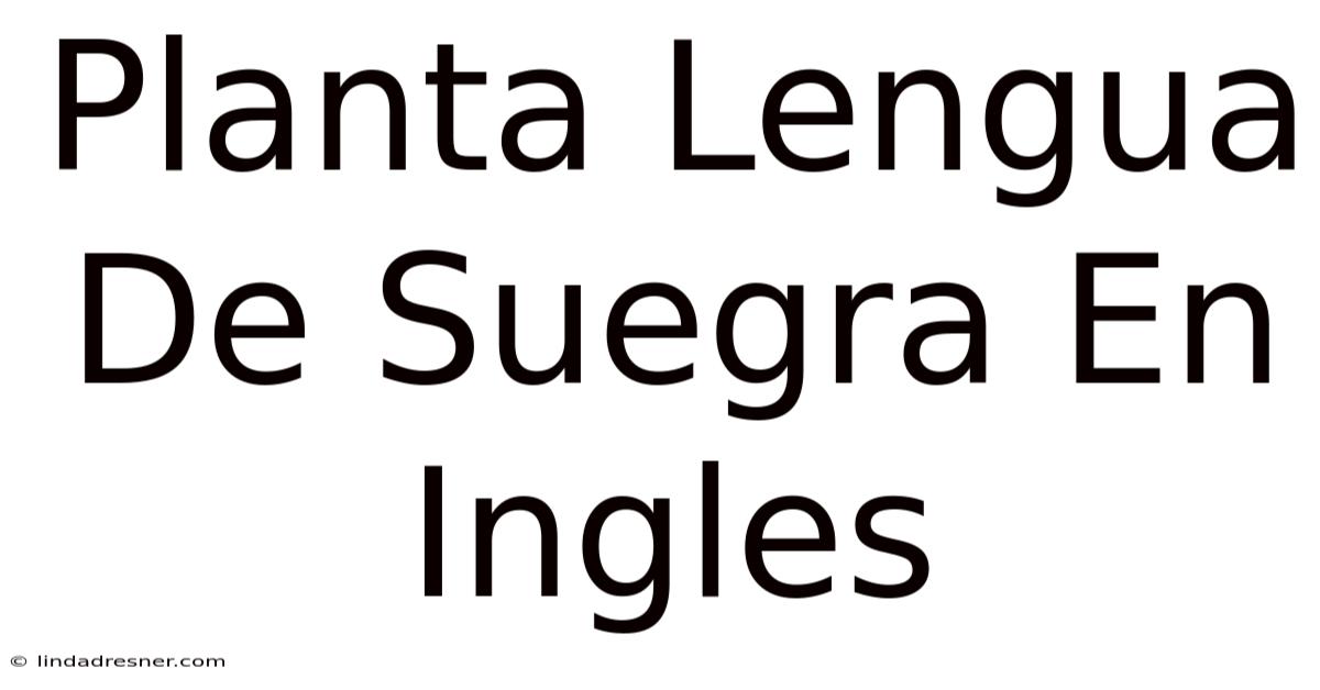 Planta Lengua De Suegra En Ingles