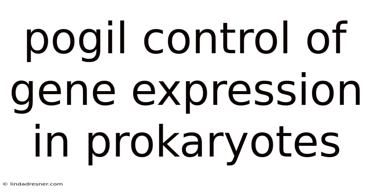 Pogil Control Of Gene Expression In Prokaryotes