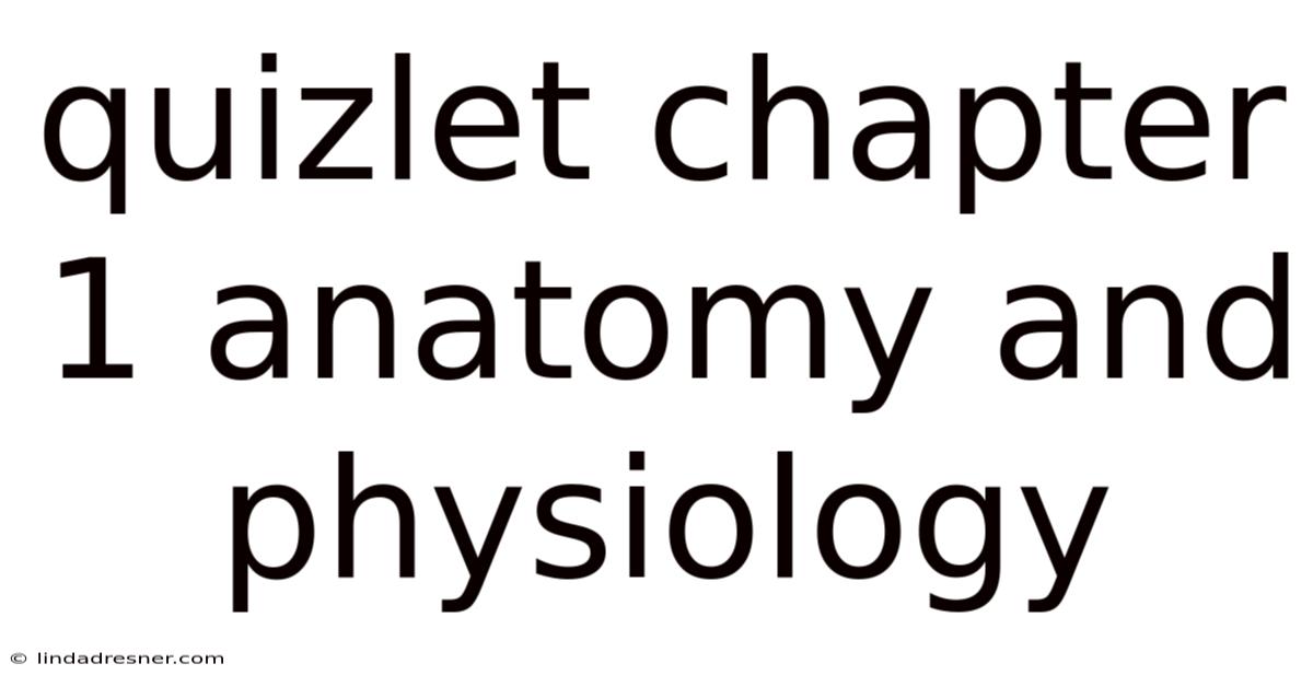 Quizlet Chapter 1 Anatomy And Physiology
