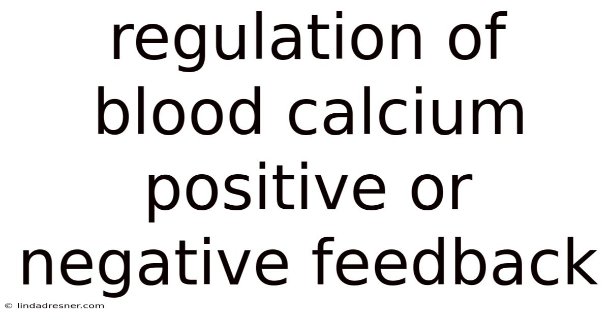 Regulation Of Blood Calcium Positive Or Negative Feedback
