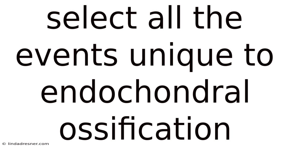 Select All The Events Unique To Endochondral Ossification