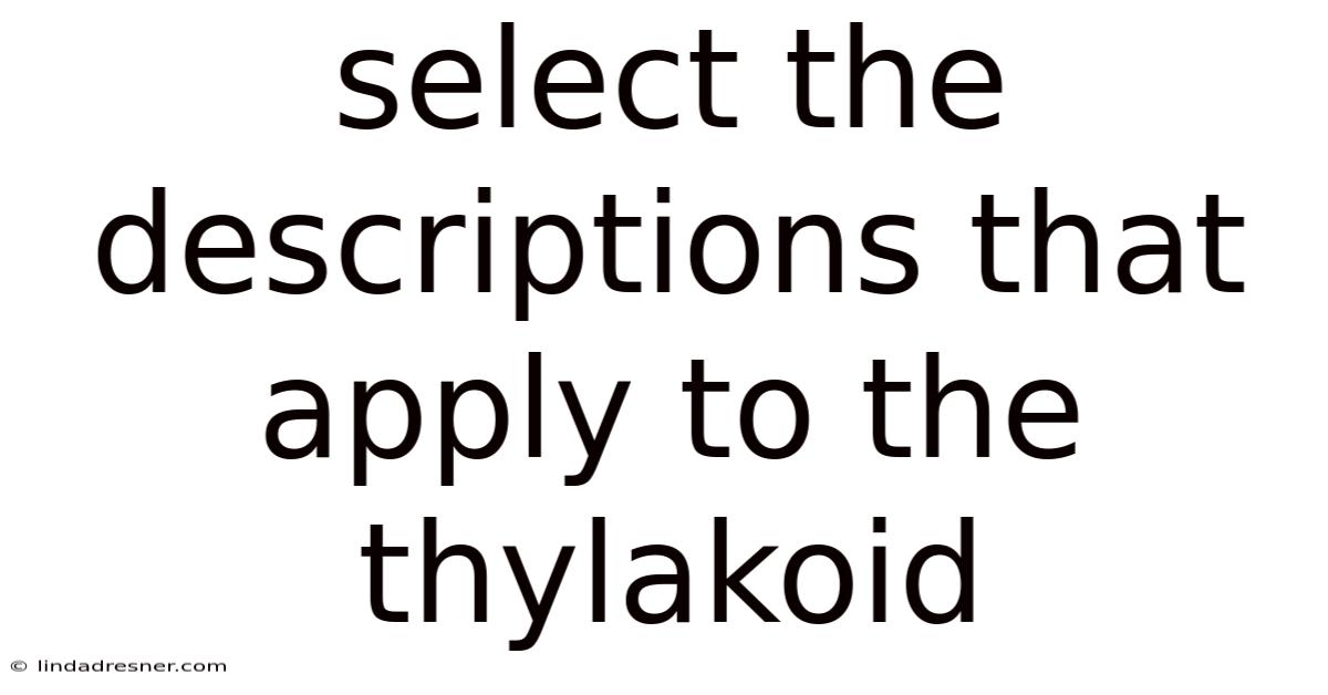 Select The Descriptions That Apply To The Thylakoid