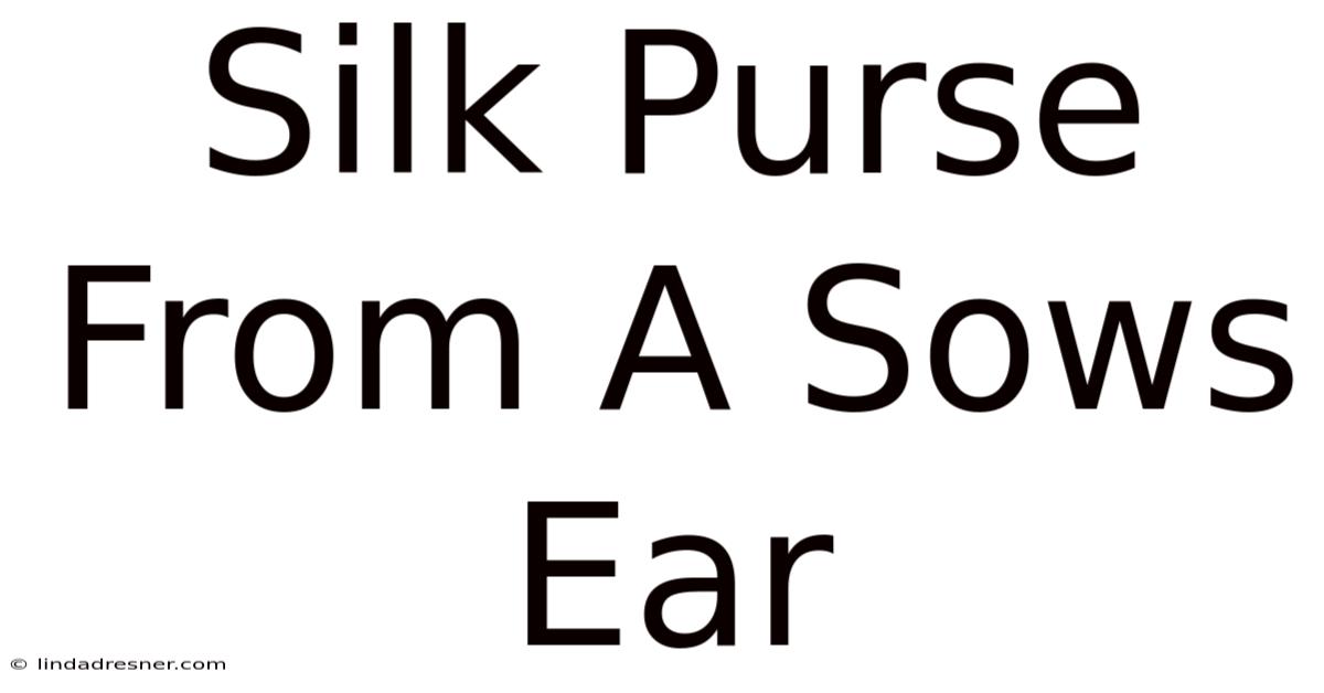 Silk Purse From A Sow's Ear