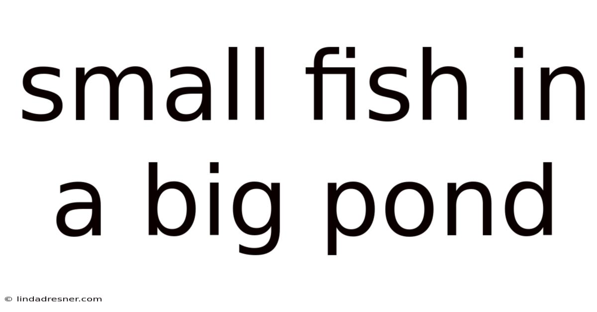 Small Fish In A Big Pond