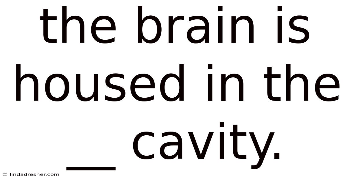 The Brain Is Housed In The __ Cavity.