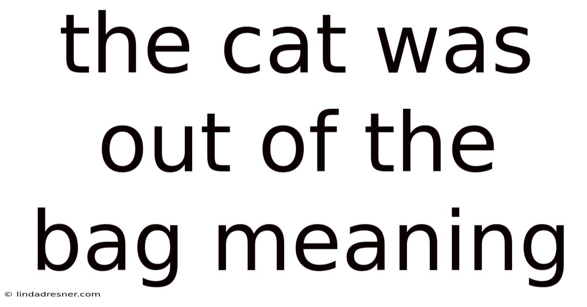 The Cat Was Out Of The Bag Meaning