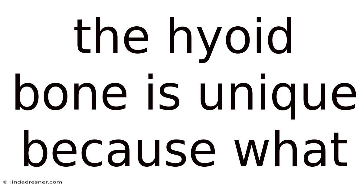 The Hyoid Bone Is Unique Because What