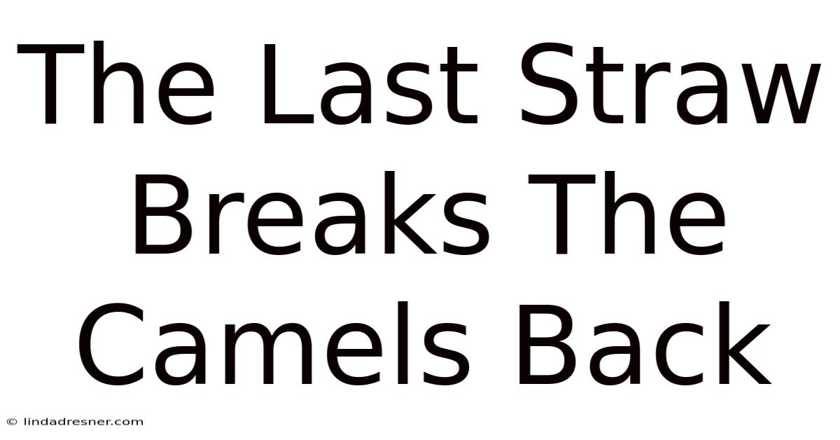 The Last Straw Breaks The Camel's Back