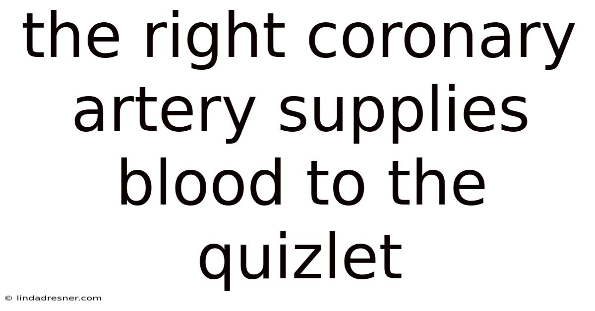 The Right Coronary Artery Supplies Blood To The Quizlet