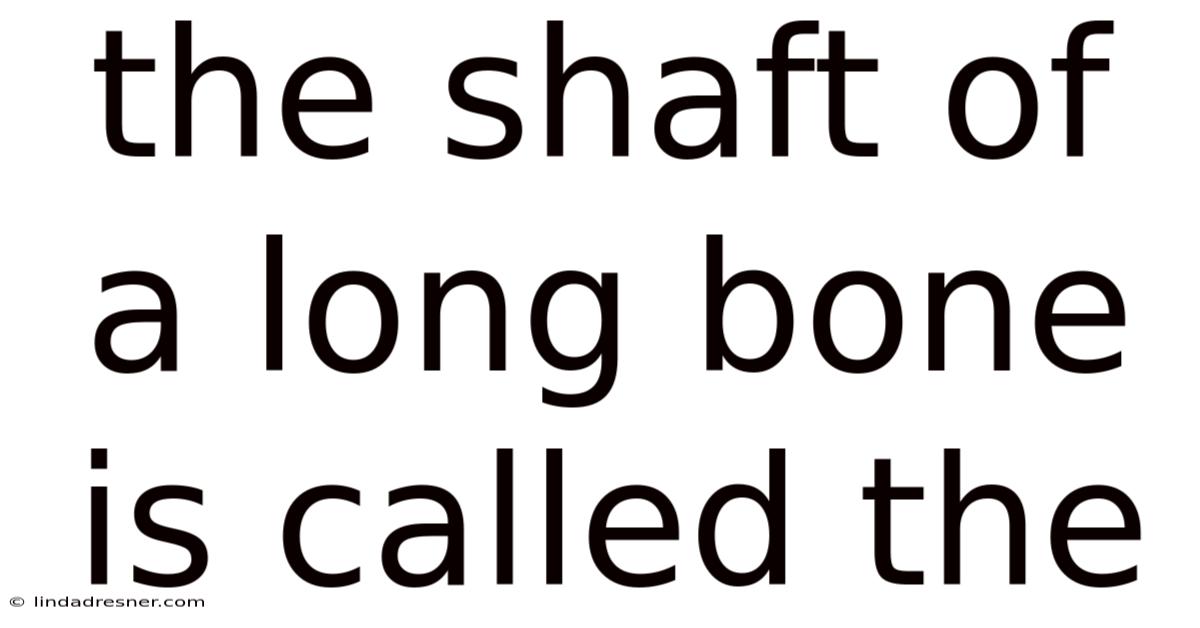 The Shaft Of A Long Bone Is Called The