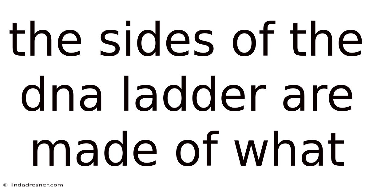 The Sides Of The Dna Ladder Are Made Of What