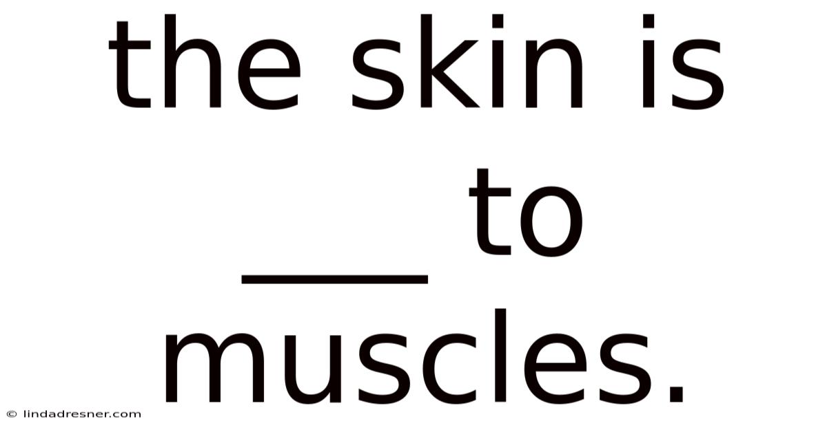 The Skin Is ___ To Muscles.