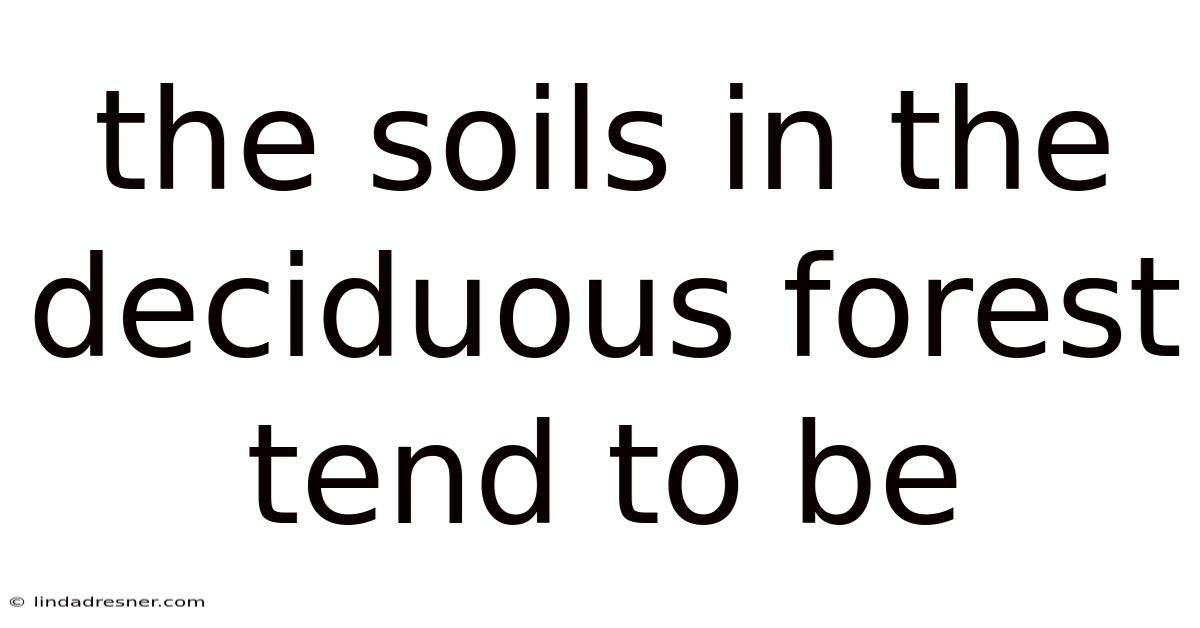 The Soils In The Deciduous Forest Tend To Be