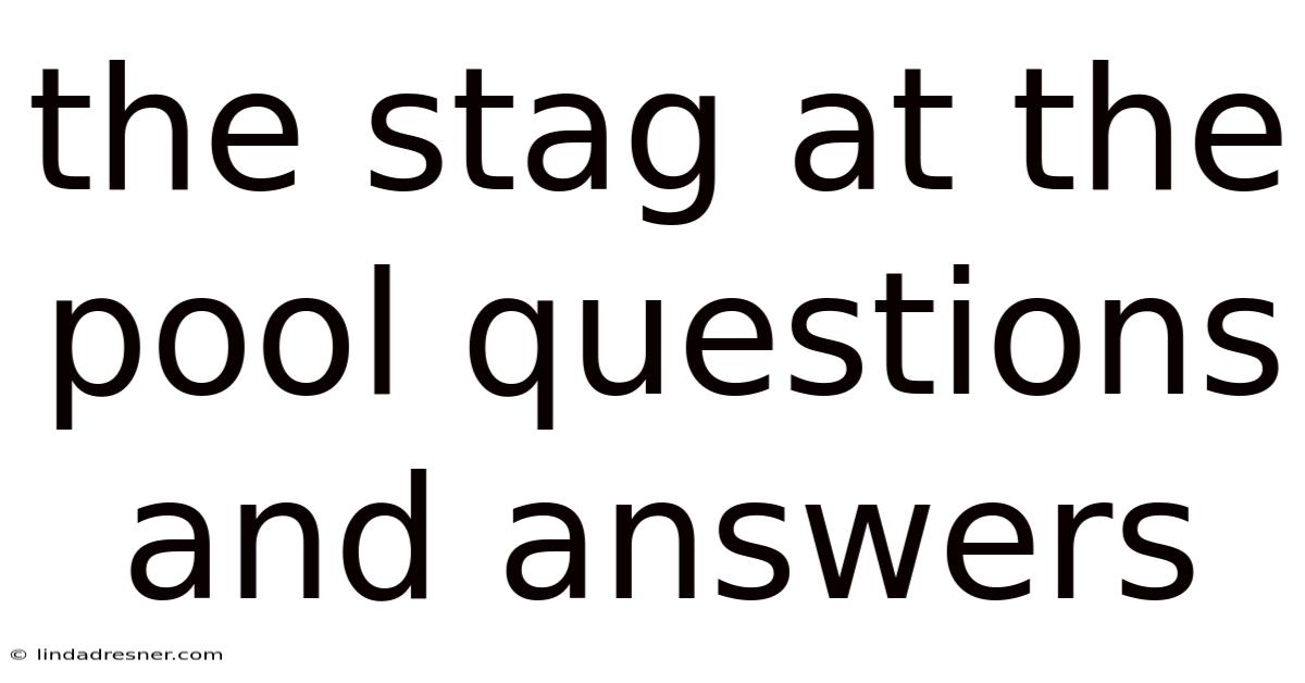 The Stag At The Pool Questions And Answers