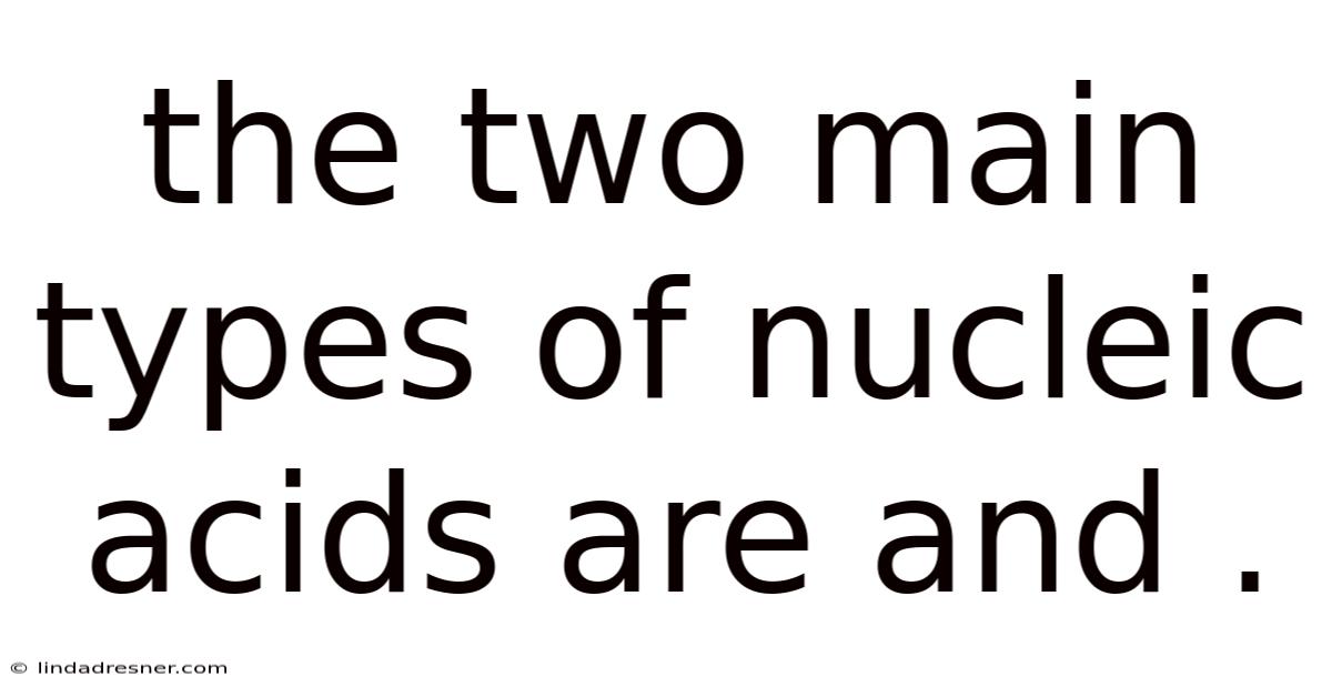 The Two Main Types Of Nucleic Acids Are And .