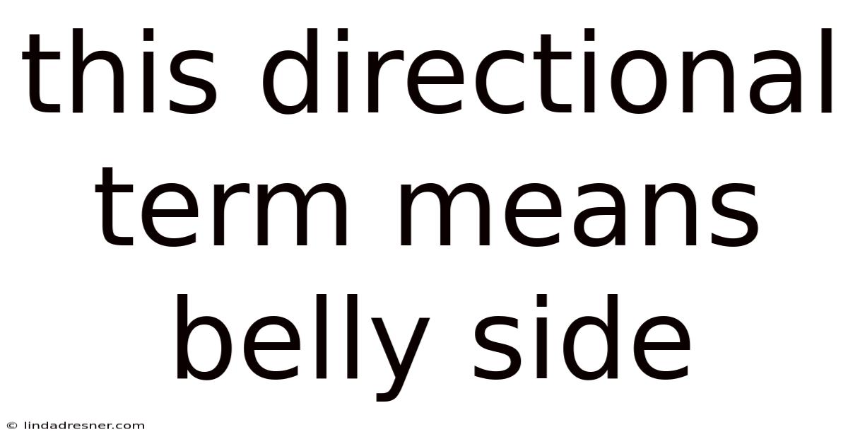 This Directional Term Means Belly Side