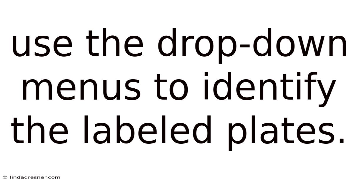 Use The Drop-down Menus To Identify The Labeled Plates.