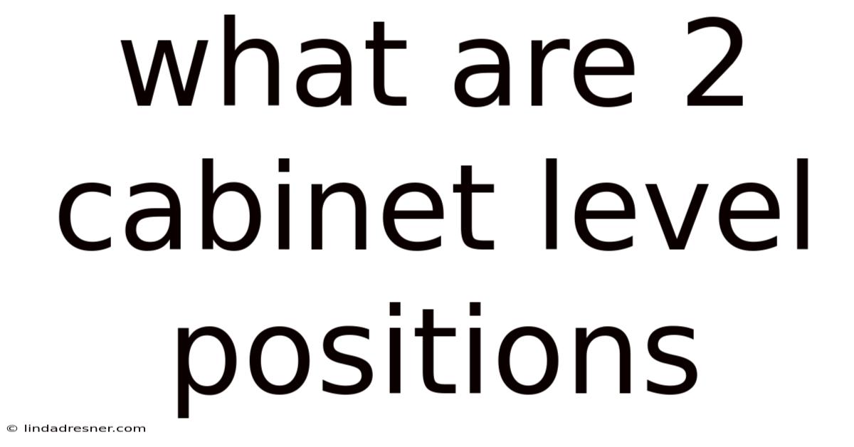 What Are 2 Cabinet Level Positions