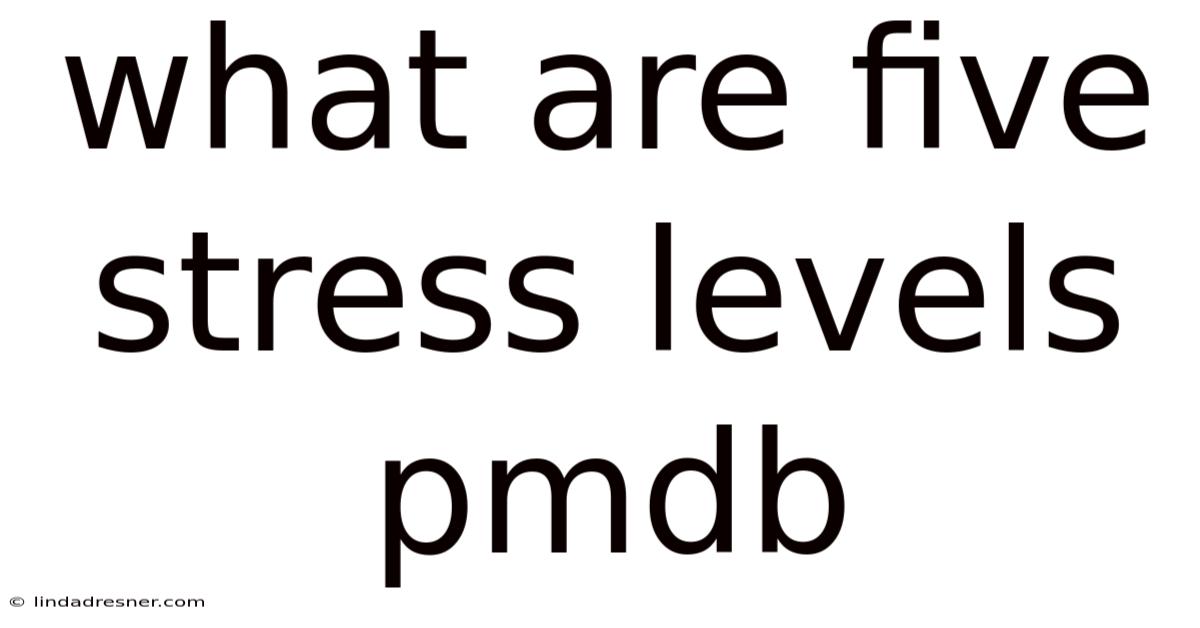 What Are Five Stress Levels Pmdb