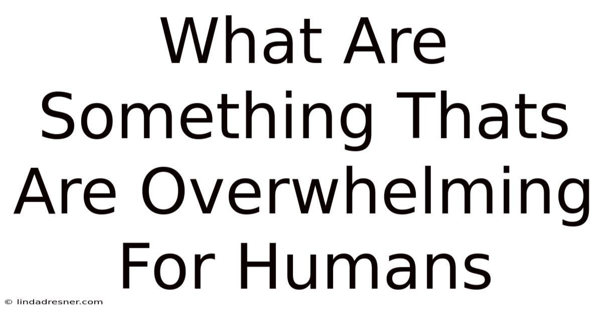 What Are Something Thats Are Overwhelming For Humans