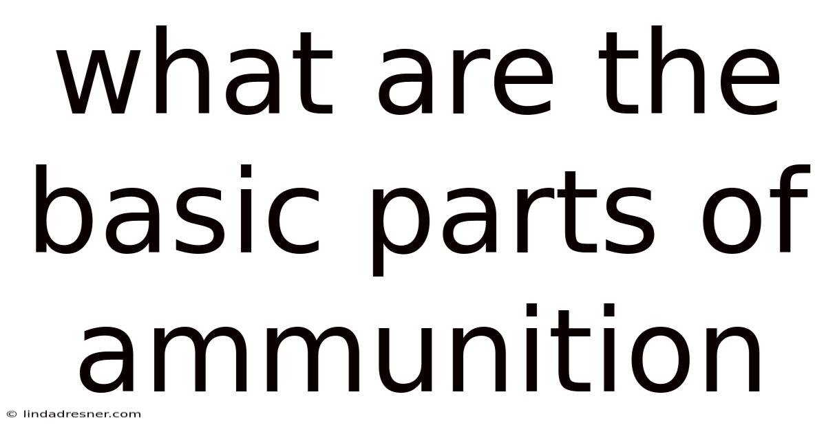 What Are The Basic Parts Of Ammunition