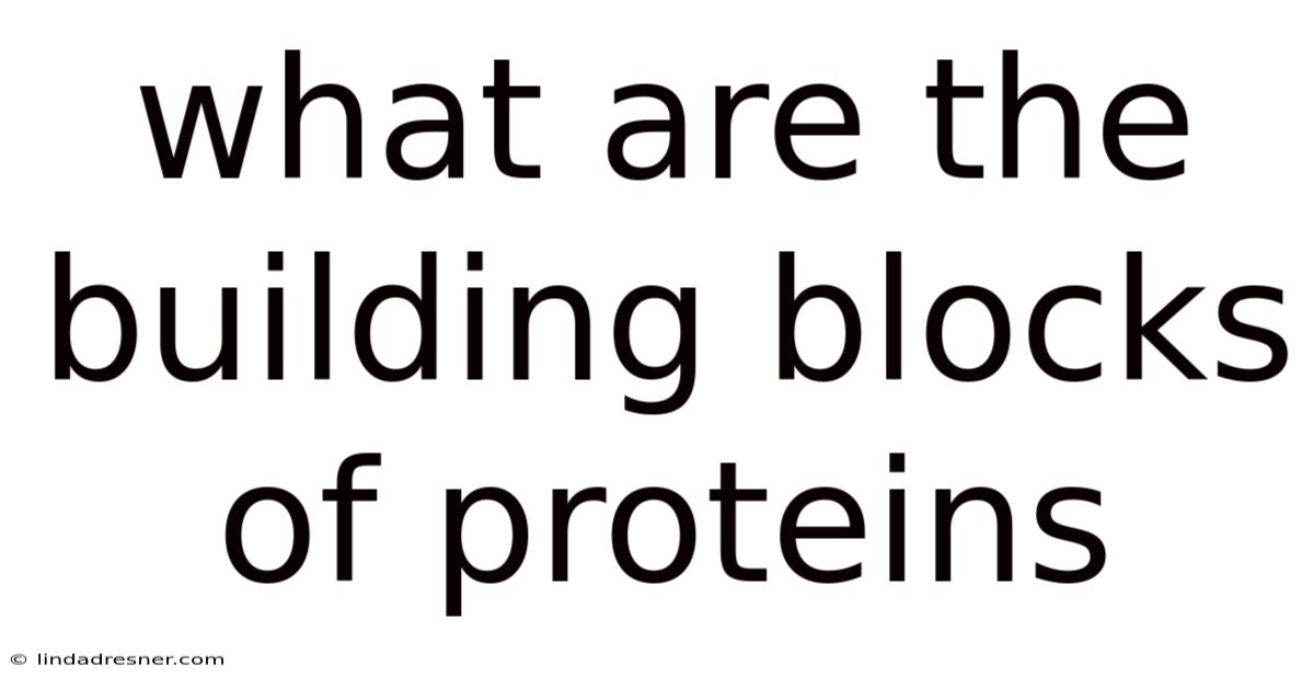 What Are The Building Blocks Of Proteins