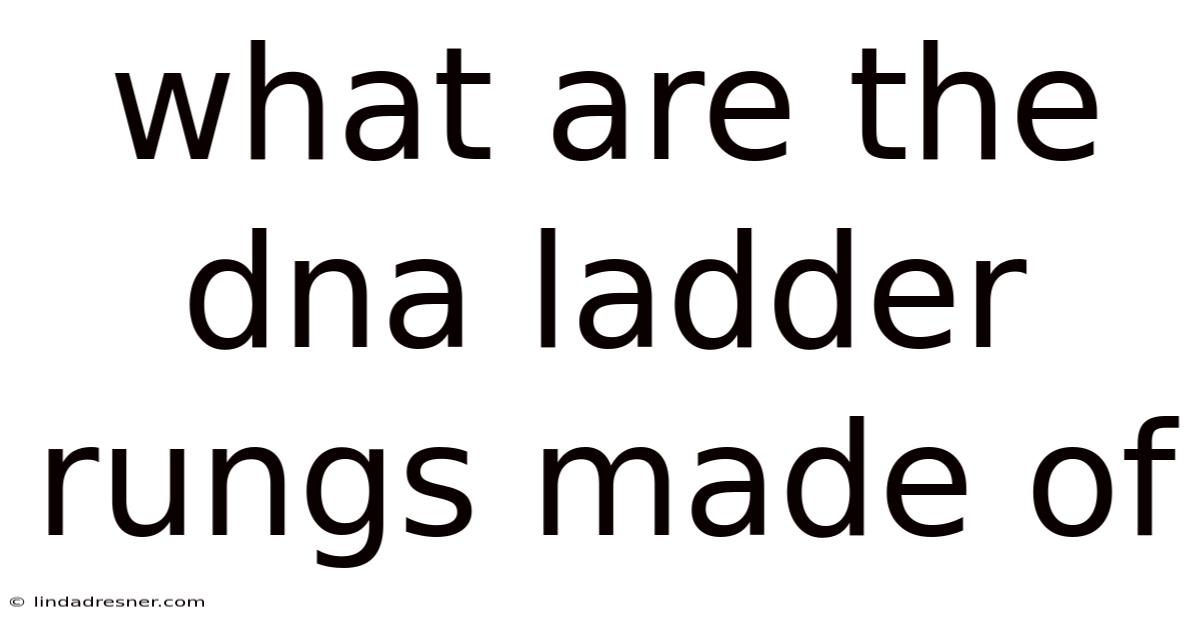 What Are The Dna Ladder Rungs Made Of