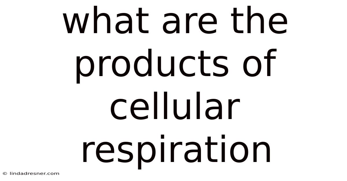 What Are The Products Of Cellular Respiration