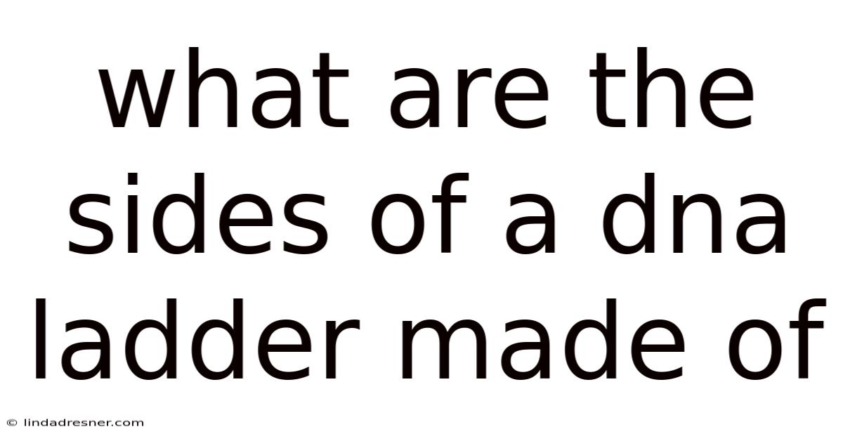 What Are The Sides Of A Dna Ladder Made Of