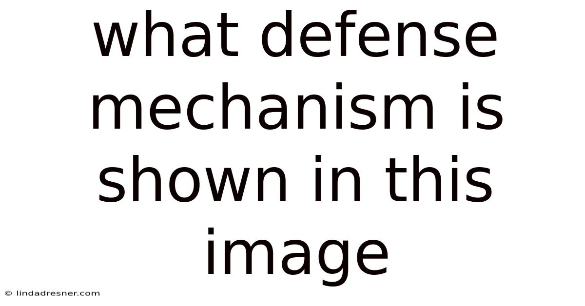 What Defense Mechanism Is Shown In This Image