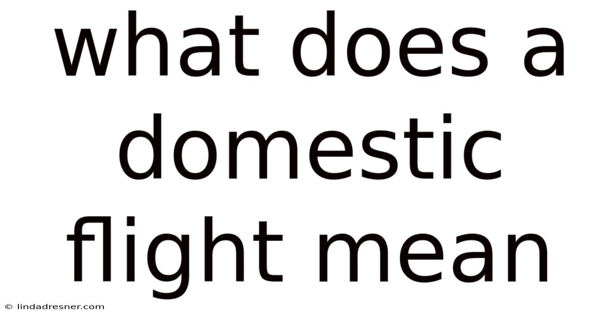 What Does A Domestic Flight Mean