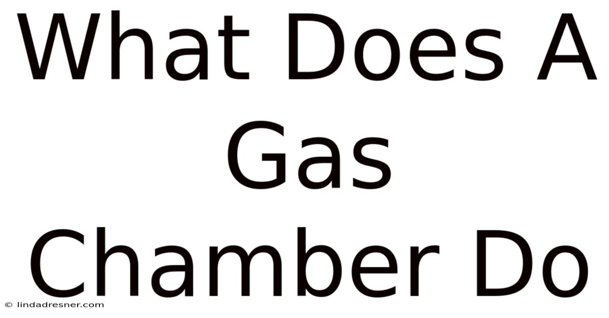 What Does A Gas Chamber Do