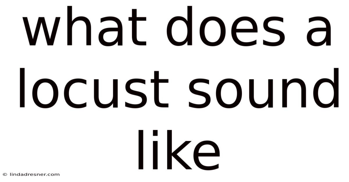 What Does A Locust Sound Like