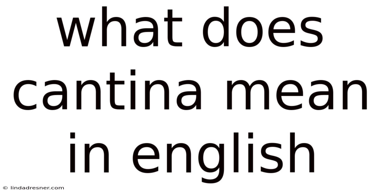 What Does Cantina Mean In English