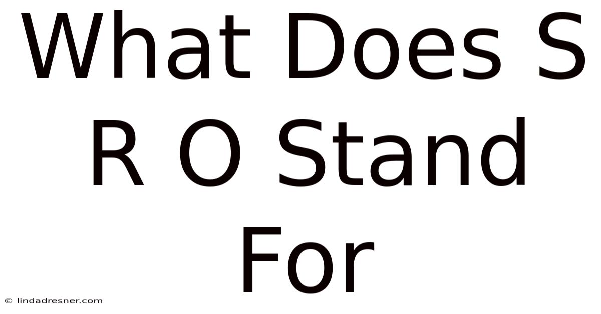 What Does S R O Stand For