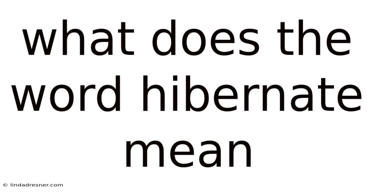 What Does The Word Hibernate Mean