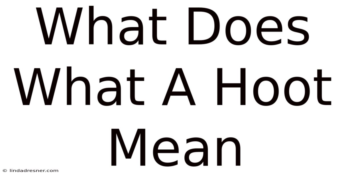 What Does What A Hoot Mean