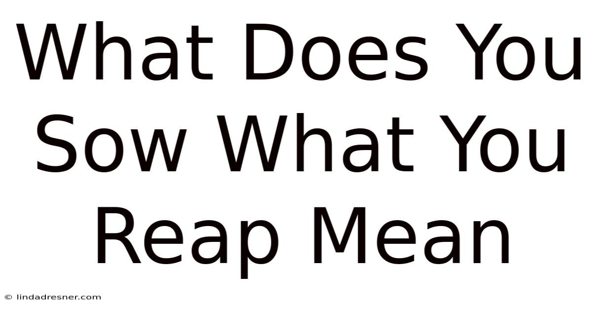 What Does You Sow What You Reap Mean